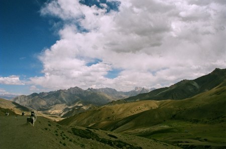 ladakh (278)