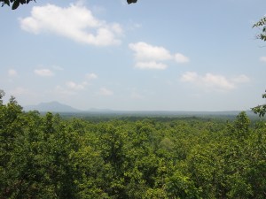 the site of pathriya dand coal block