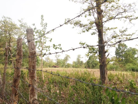 at a village near bhairamgarh, bijapur.