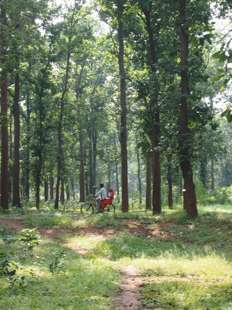 life in hasdeo arand.