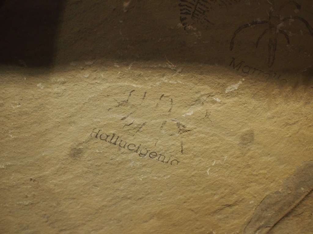 the cambrian gave rise to some extraordinary lifeforms. google hallucigenia. 