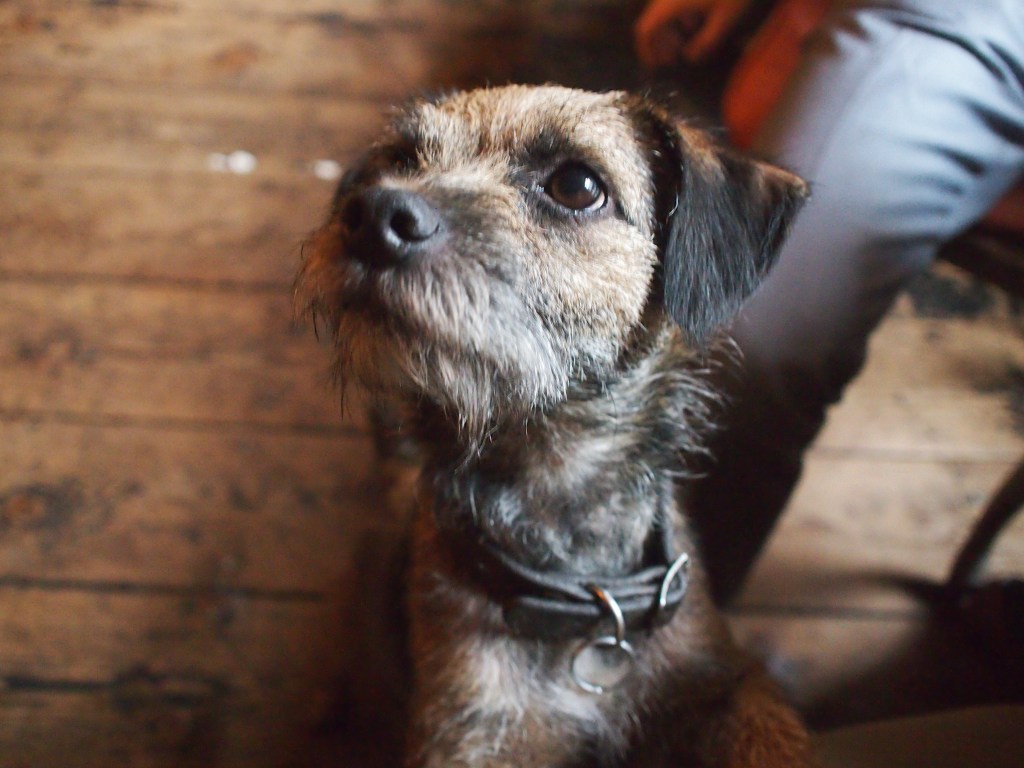 jezebel, at a soho pub i visited. 